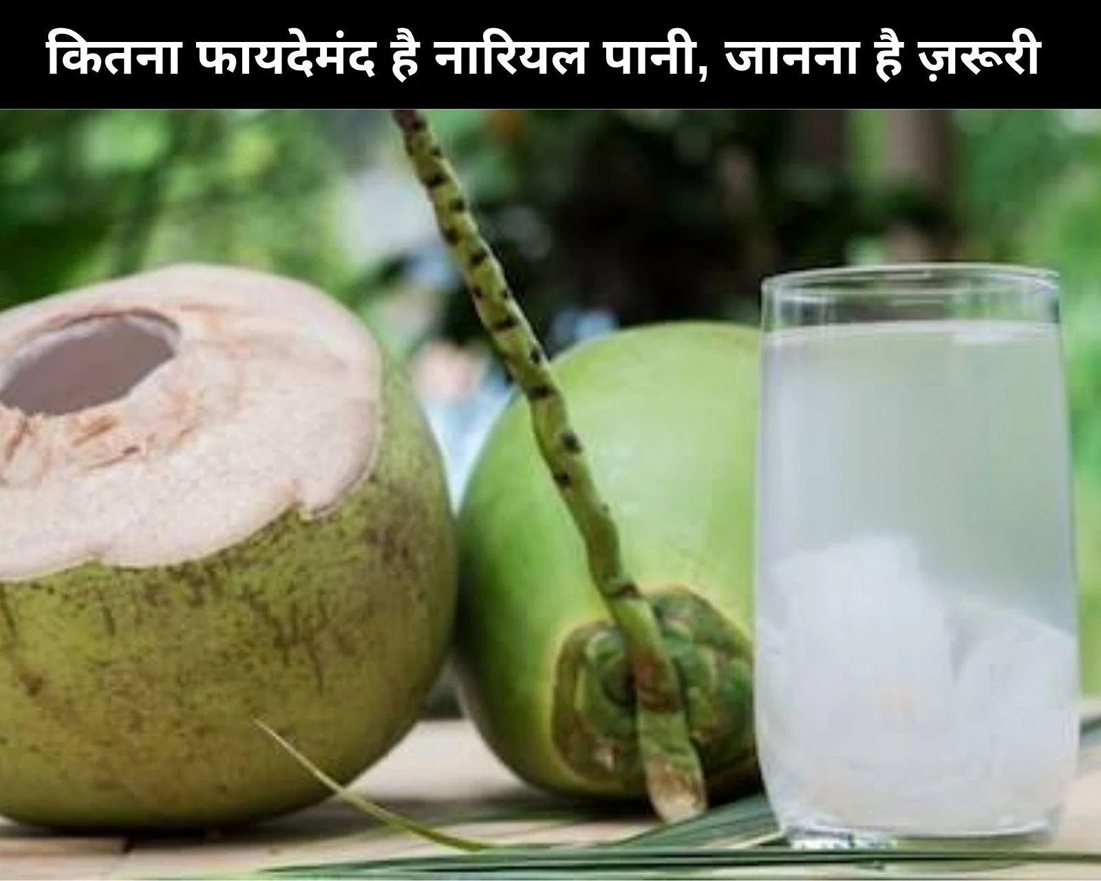 Coconut Water Benefits:वेट लॉस से लेकर हाई बीपी कंट्रोल करने तक, जानें रोजाना सुबह खाली पेट नारियल पानी पीने के फायदे